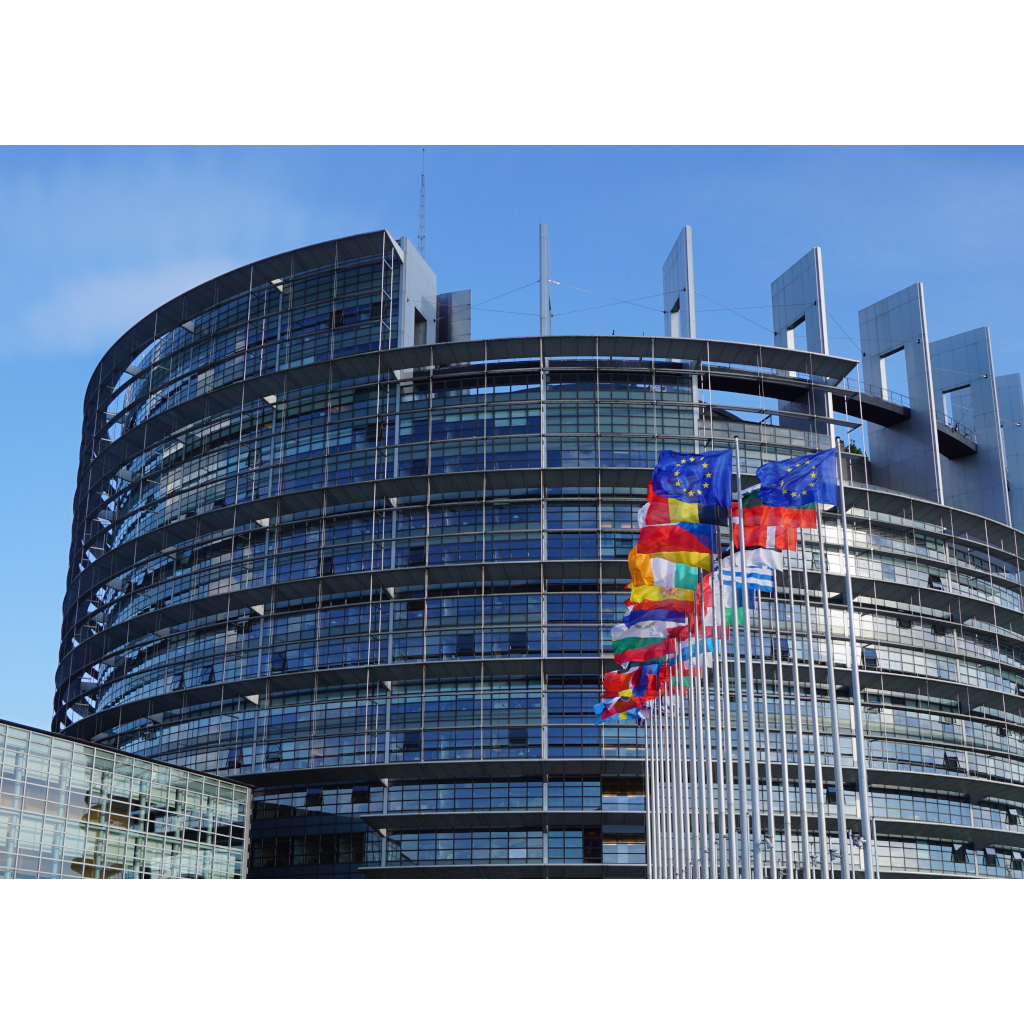 Appello ai candidati alle Europee per la costituzione di un Intergruppo sul volontariato