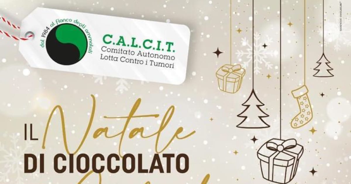 Banner natale di cioccolato calcit andria 2022