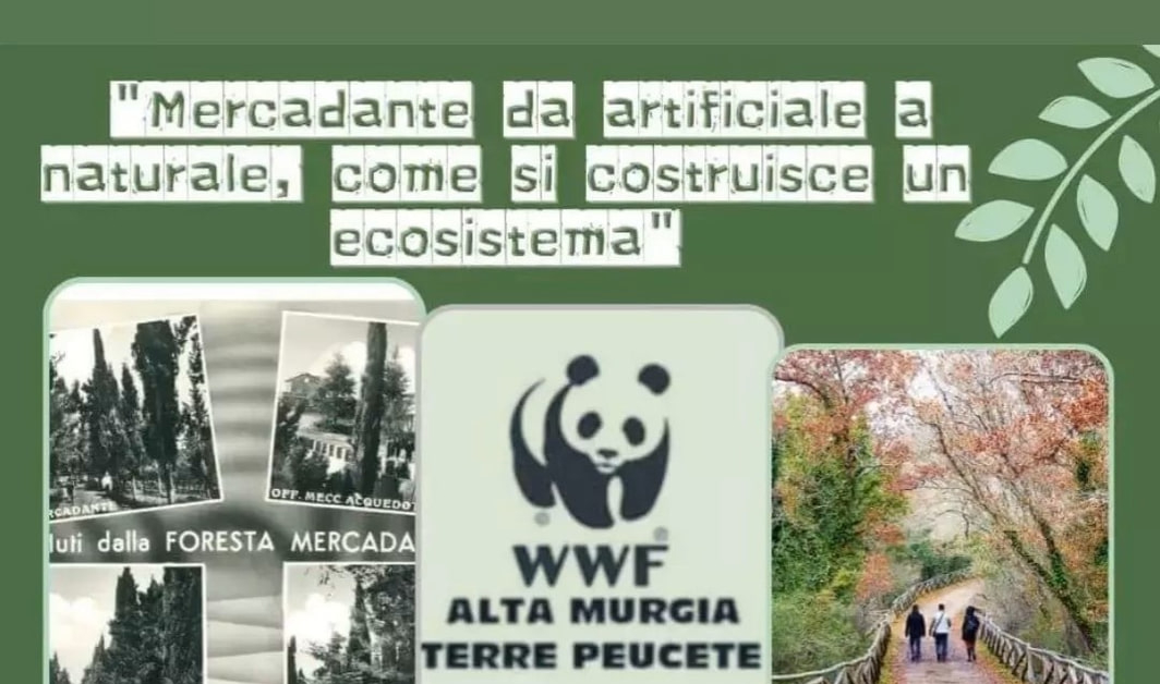 WWF Alta Murgia Terre Peucete escursione Foresta Mercadante