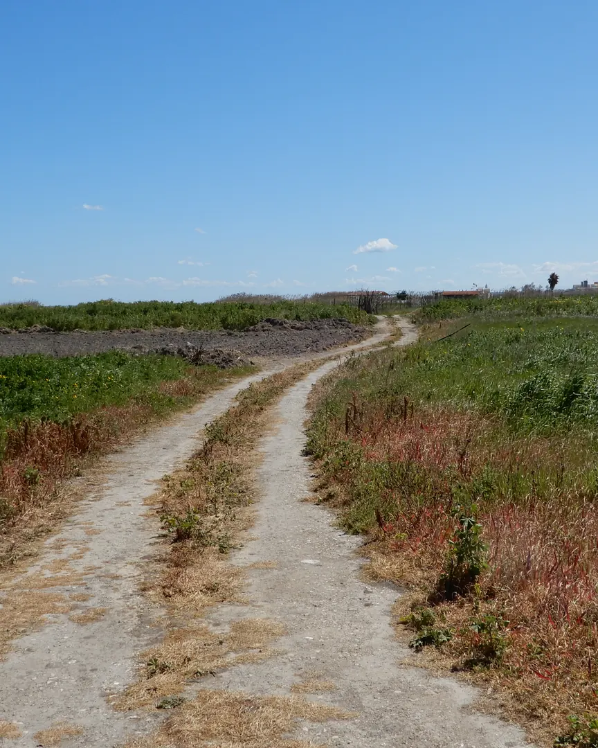 Domenica 15 Marzo 2026 a partire dalle 10:00, Legambiente Trani APS, in collaborazione con Plastic Free Trani e Agesci Gruppo Trani 2 APS, organizza un’importante giornata di mobilitazione e clean-up nel segno della tutela ambientale e della conoscenza delle proprie radici, nella località Boccadoro di Trani. L’invito a partecipare è rivolto a tutta la cittadinanza, nella volontà di dedicare qualche ora alla cura della propria città.