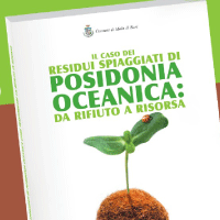 Posidonia oceanica: da rifiuto a risorsa