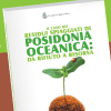 Posidonia oceanica: da rifiuto a risorsa
