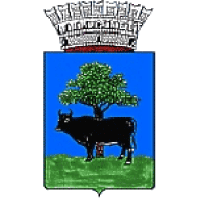 Ascoltarsi per ascoltare