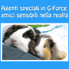 Agenti speciali in G-Force amici sensibili nella realtà