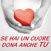 Avis