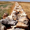 Campo Alta Murgia