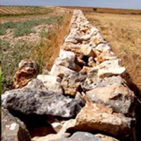Campo Alta Murgia