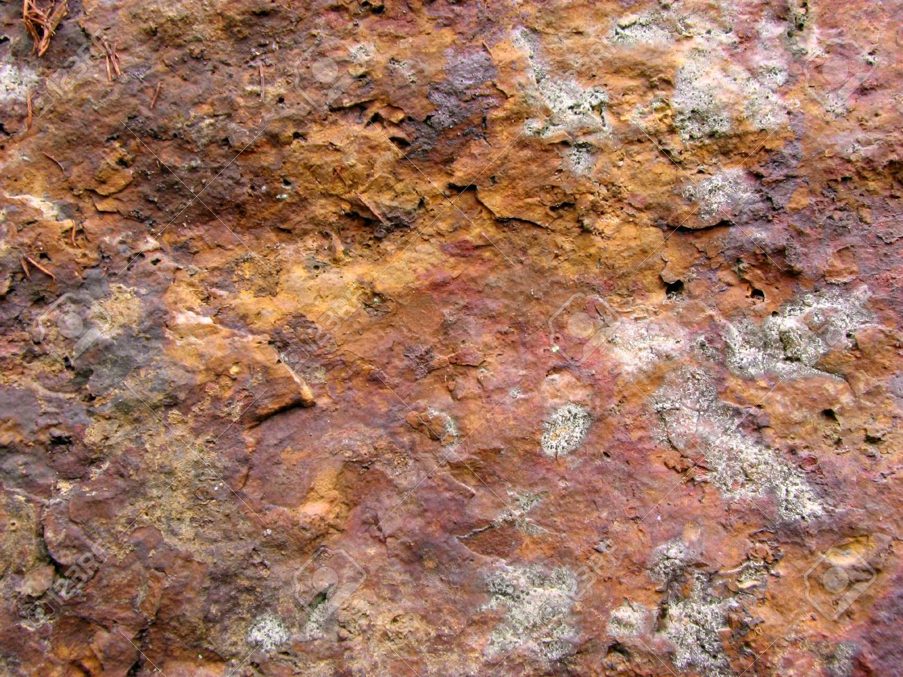 geologici