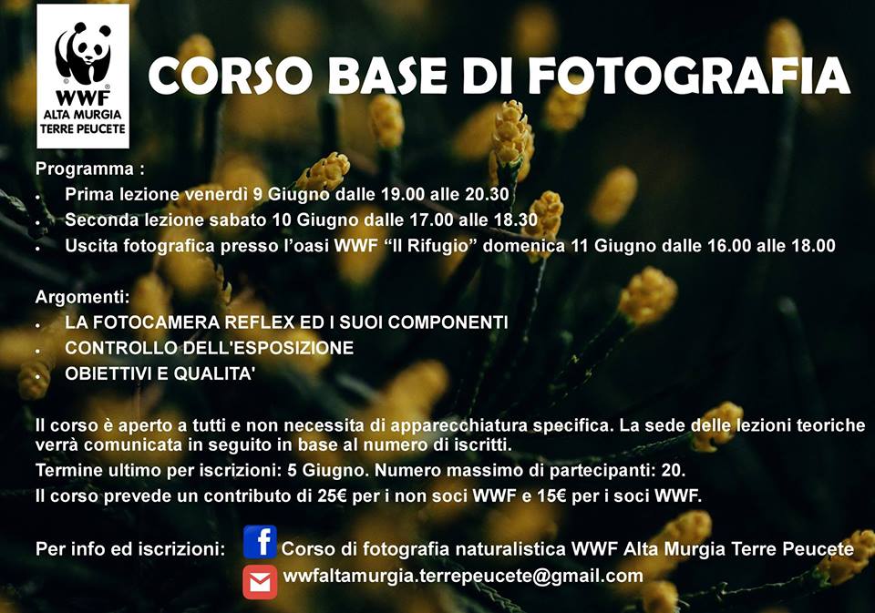corso base di fotografia