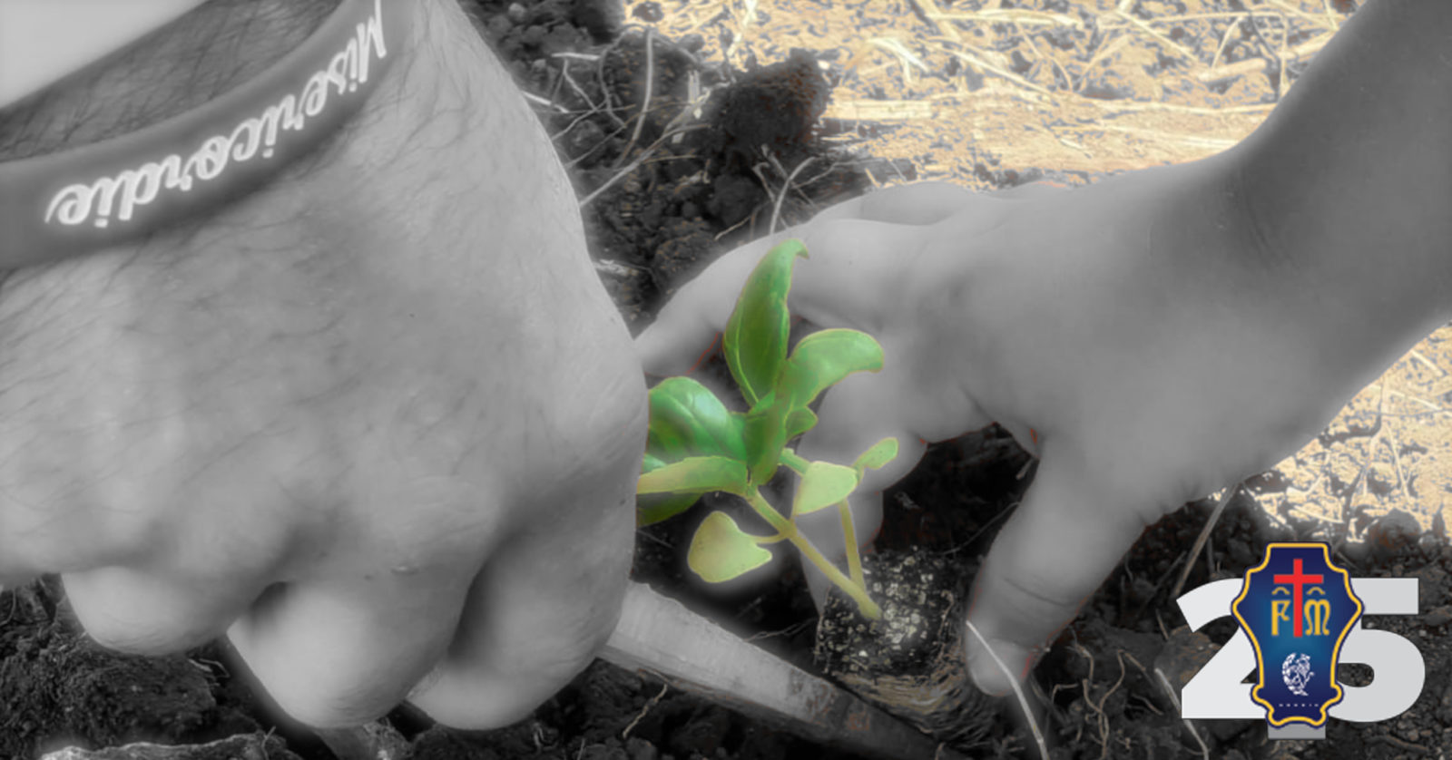 Banner Ripiantiamo da qui campo estivo Misericordia Andria 2020