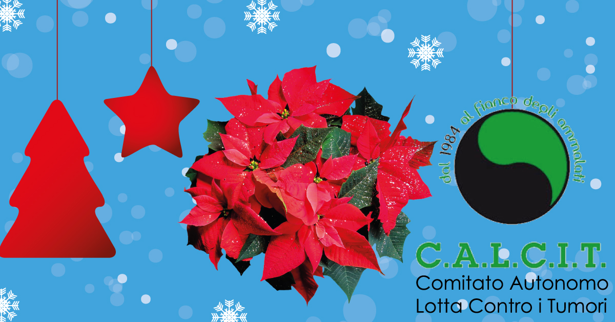 Banner-Le-Strenne-del-CALCIT-Andria-2020