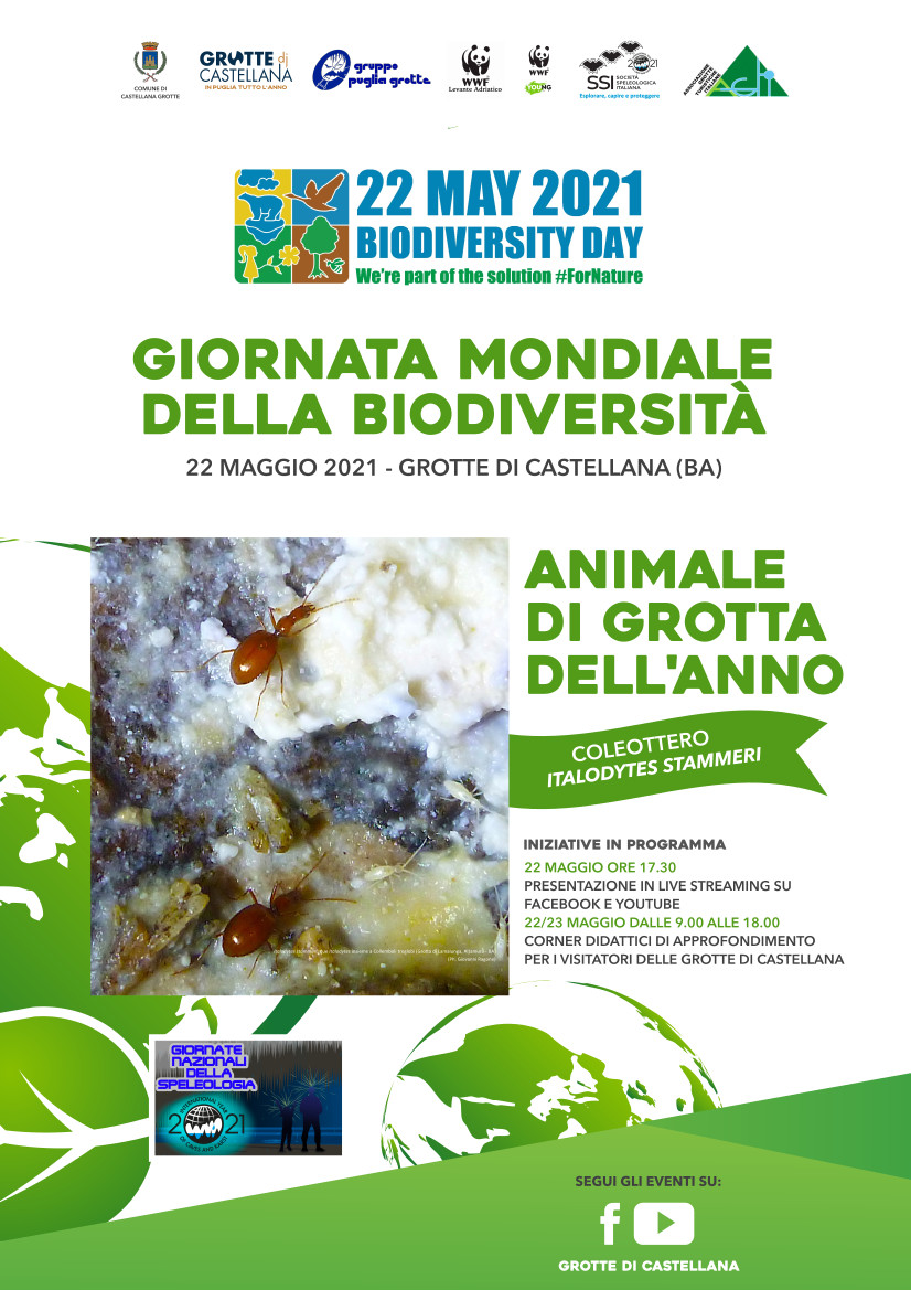 Locandina-Giornata-Mondiale-della-Biodiversità-Castellana-Grotte-WWF-Levante-Adriatico 2021