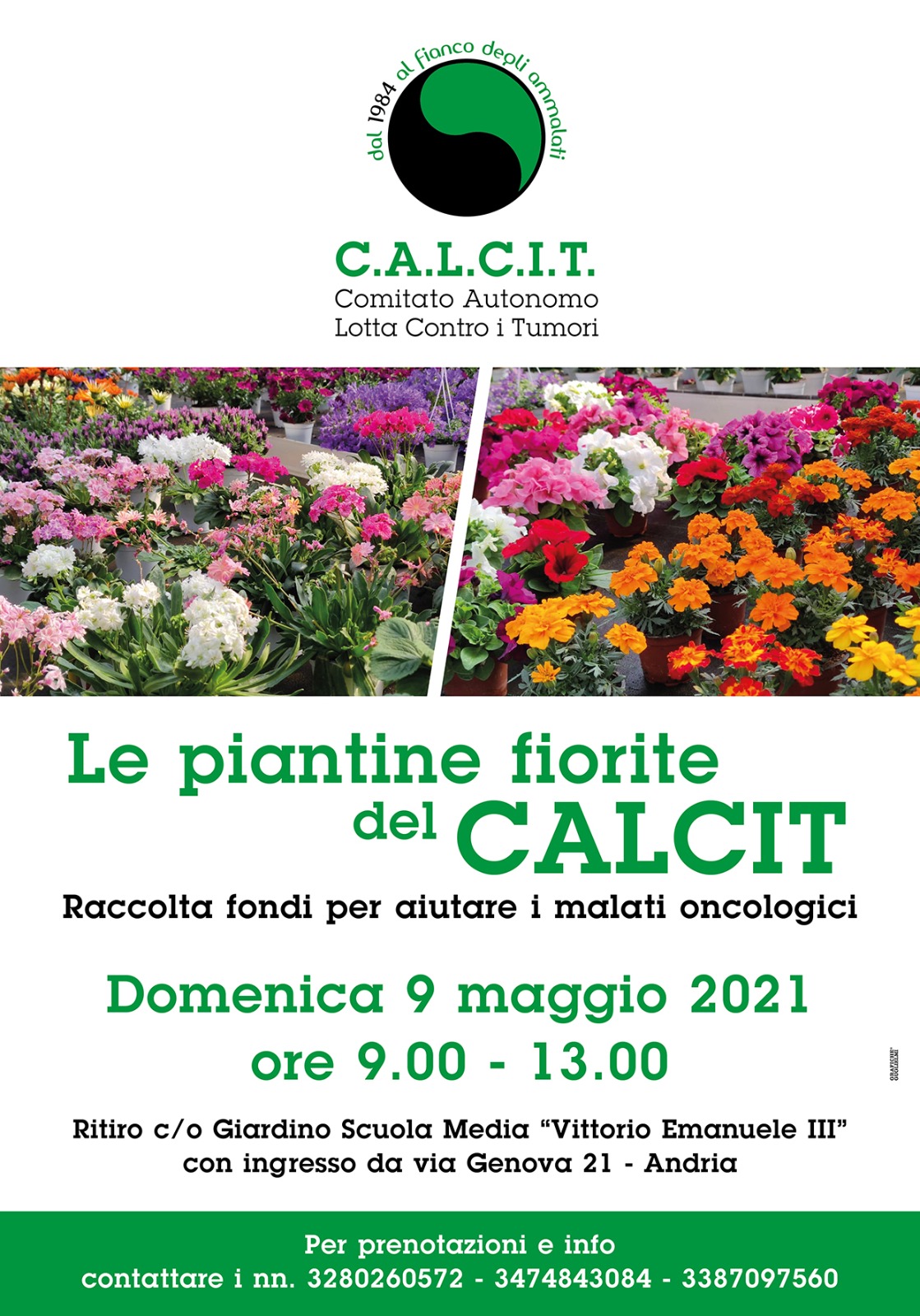 Locandina Le piantine fiorite del CALCIT Andria