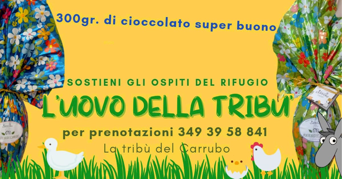 Banner Sostieni gli animali in cura al rifugio della Tribù del Carrubo con le Uova della Tribù