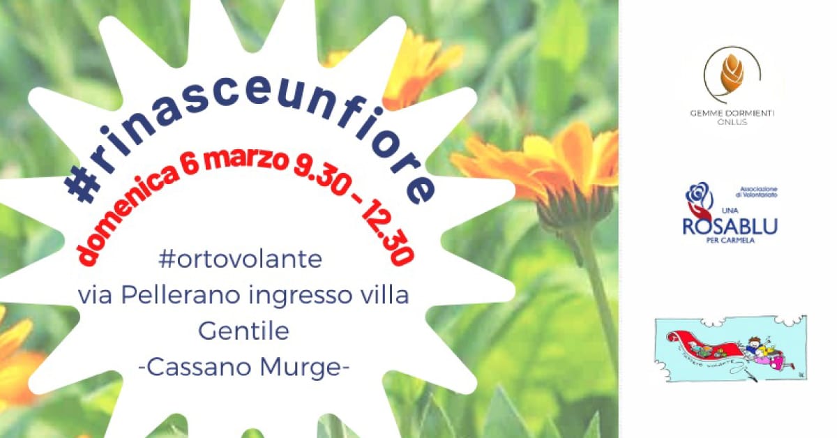 Banner #rinasceunfiore festa della donna
