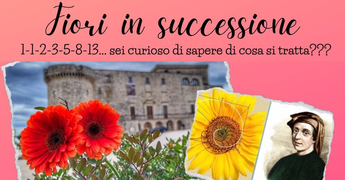Banner Fiori in successione itinerario fotografico Conversano Lo Scarabocchio
