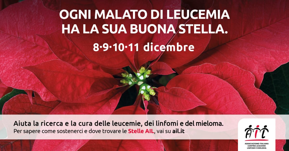 Banner Stelle di Natale AIL 2022