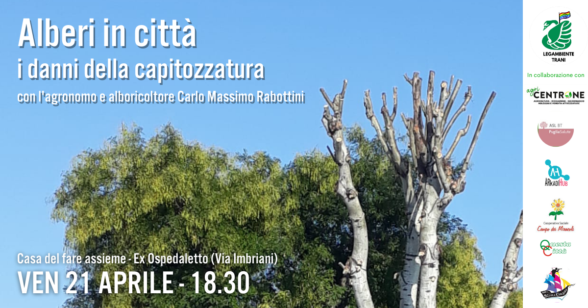 Alberi in città i danni della capitozzatura
