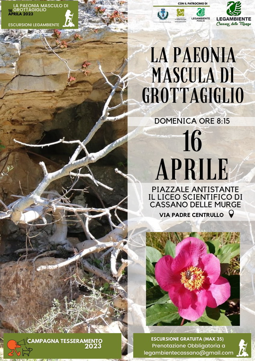 Legambiente Cassano Murge escursione naturalistica La peonia mascula di Grottagiglio