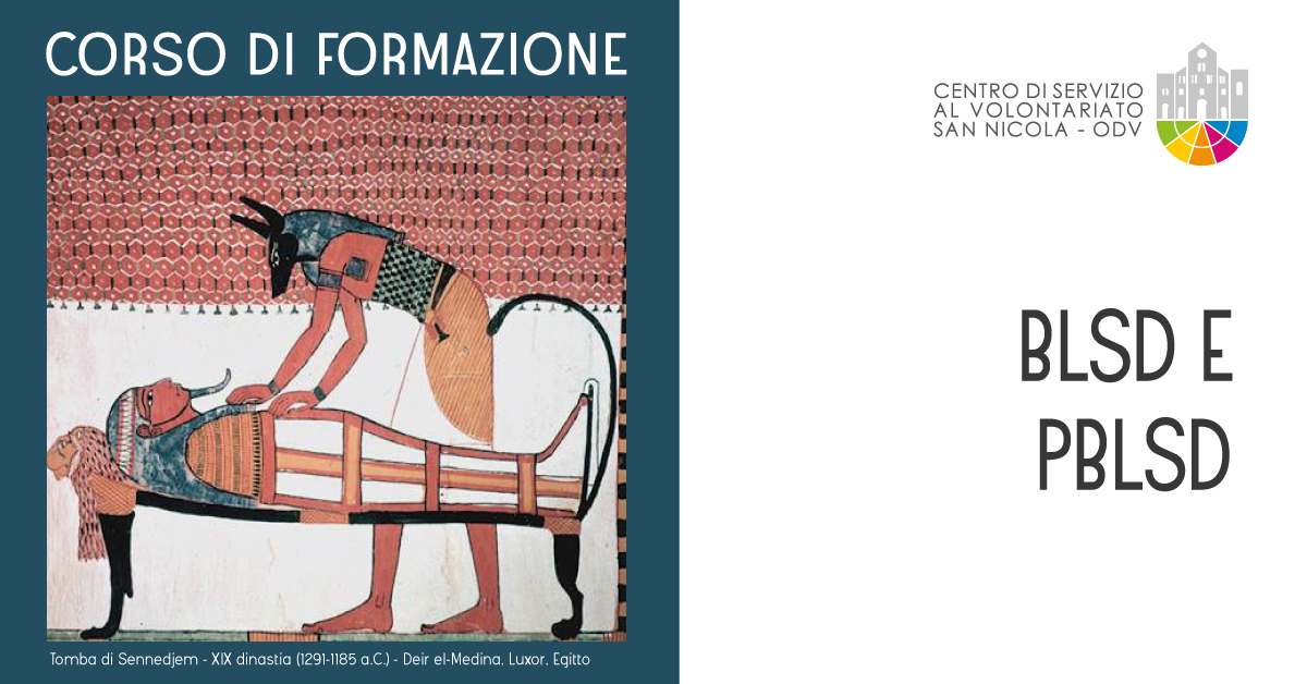 Banner Formazione CSVSN BLSD e PBLSD