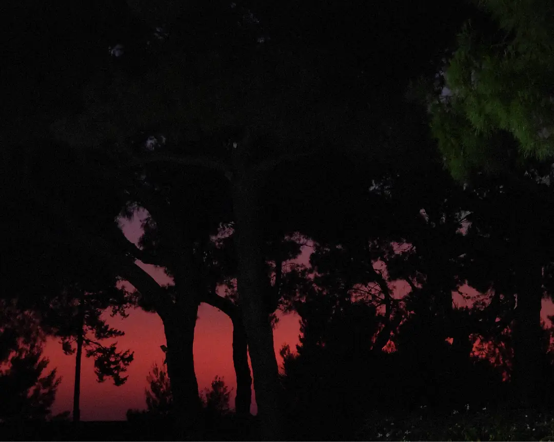 Tramonto Dal 6 all’8 Giugno 2025, il Centro di Servizio al Volontariato San Nicola ETS, Semi di Vita Società Cooperativa sociale e Libera Puglia organizzano il Campo Volontariato e Antimafia, presso la Domus Familiae Nozze di Cana a Bari Torre a Mare: “Dalla confisca alla vita. Scoprire e valorizzare i beni confiscati”. Con il patrocinio di Avviso pubblico Enti Locali e Regioni per la formazione civile contro le mafie e Comune di Valenzano.