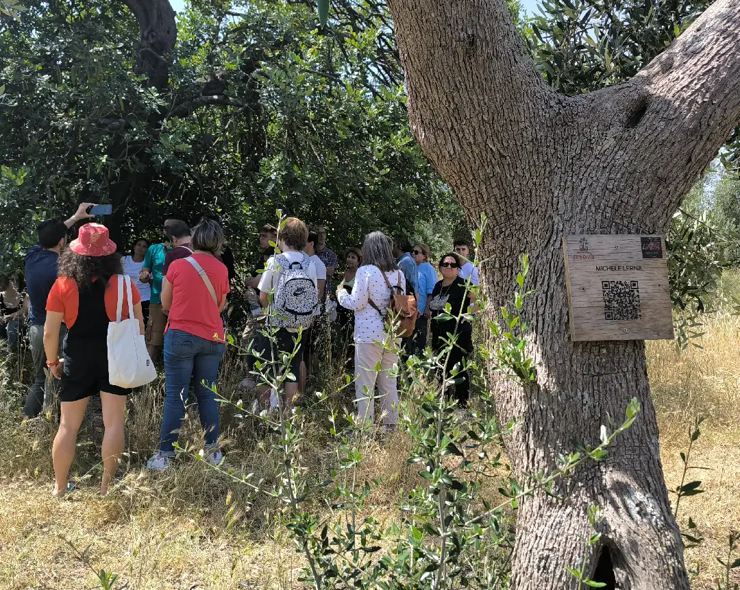 Terreno confiscato Valenzano Dal 6 all’8 Giugno 2025, il Centro di Servizio al Volontariato San Nicola ETS, Semi di Vita Società Cooperativa sociale e Libera Puglia organizzano il Campo Volontariato e Antimafia, presso la Domus Familiae Nozze di Cana a Bari Torre a Mare: “Dalla confisca alla vita. Scoprire e valorizzare i beni confiscati”. Con il patrocinio di Avviso pubblico Enti Locali e Regioni per la formazione civile contro le mafie e Comune di Valenzano.