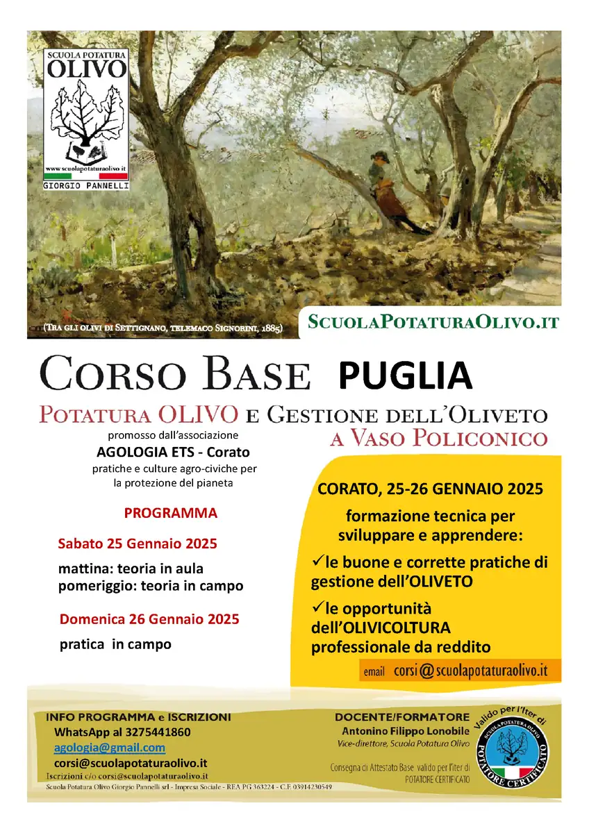 Sabato 25 e Domenica 26 Gennaio 2025, Agologia ETS ospita il Corso Base di gestione e potatura dell’Olivo con la tecnica del Vaso Policonico tenuto dalla Scuola Potatura Olivo - Impresa Sociale, presso la tenuta olivicola Lamparella in località Lamacupa a Corato.