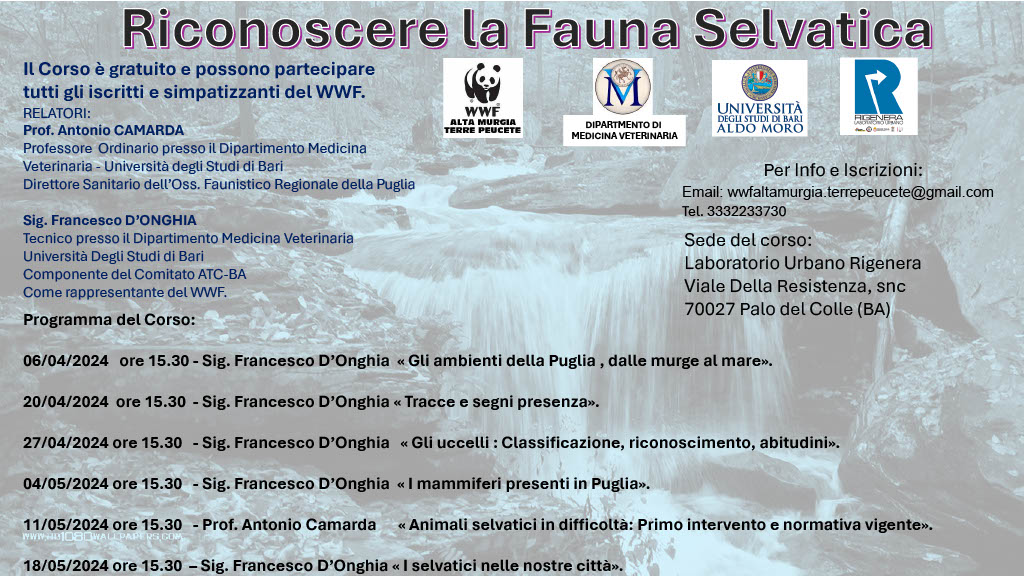 Corso riconoscimento fauna selvatica WWF Alta Murgia e Terre Peucete
