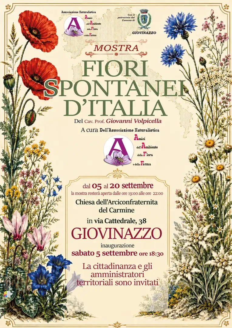Dal 5 al 20 Settembre 2026, dalle 19:00 alle 22:00, l’associazione Amici dell’Ambiente, della Flora e della Fauna - ODV presenta la mostra “Fiori spontanei d’Italia” nella Chiesa dell’Arciconfraternita del Carmine a Giovinazzo.