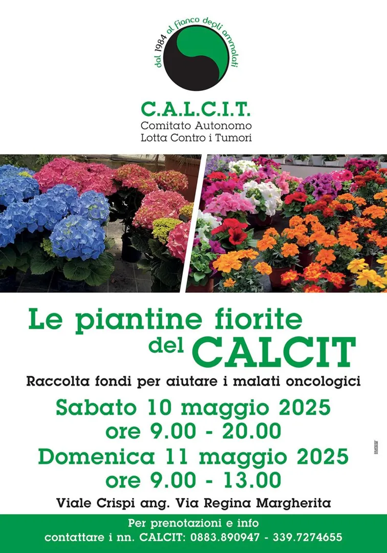 Sabato 10 e domenica 11 Maggio 2025, si tiene la raccolta fondi “Piantine fiorite per la festa della Mamma” nel gazebo allestito ad angolo tra viale Crispi e via Regina Margherita ad Andria. La raccolta fondi è organizzata dal C.A.L.C.I.T., storica associazione andriese che da oltre 40 anni si occupa di malati oncologici. Per prenotazioni e informazioni: 0883 89 09 47 - 339 72 74 655.